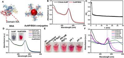 Attaching DNA to Gold Nanoparticles With a Protein Corona